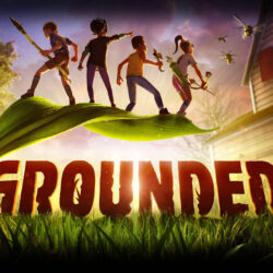 Grounded – Commonly Asked Questions Answered